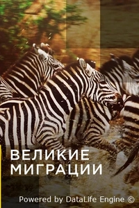 Великие миграции