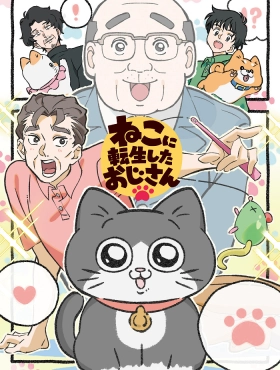 Старик, перевоплотившийся в кота